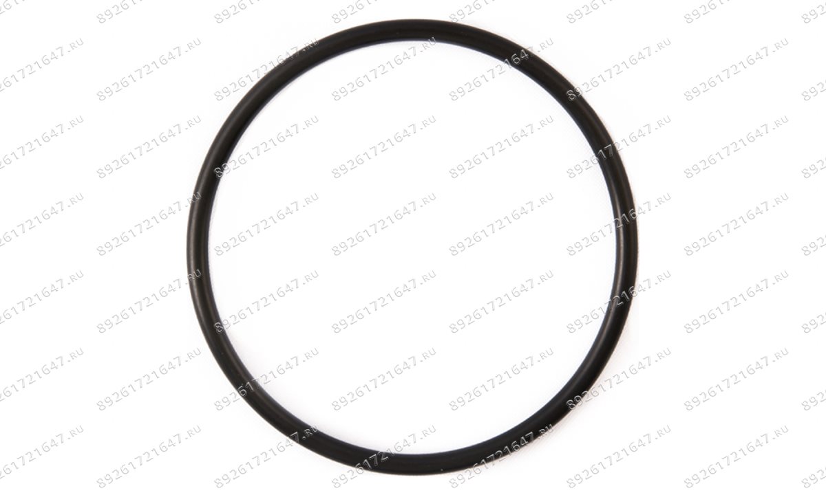  Кольцо резиновое 100×5.3 V-26 (0)