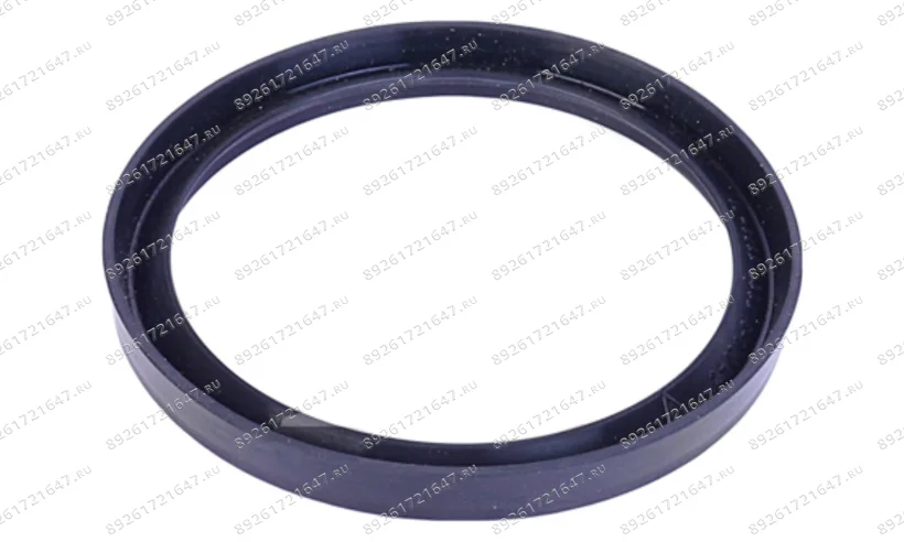 Кольцо герметизирующее/SEAL-Y RING для 1850, 1885 фото