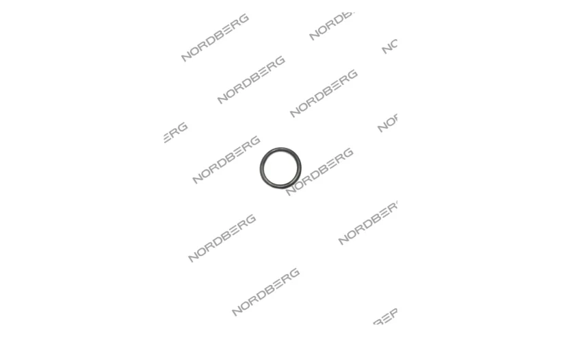 NORDBERG ЗАПЧАСТЬ КОЛЬЦО уплотнительное X000739 для 2330-BC X000739 фото