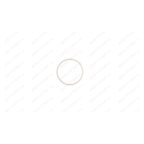  Кольцо уплотнительное (O-ring п.40) HJ0303.5005, HJ0303.7040 мни (0)