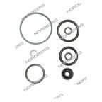  NORDBERG ЗАПЧАСТЬ РЕМКОМПЛЕКТ для N31SC N31SC#RK мни (0)