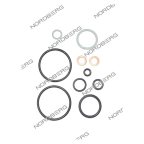 NORDBERG ЗАПЧАСТЬ РЕМКОМПЛЕКТ насоса для траверсы 422T (new) 422T_PRK-NEW фото